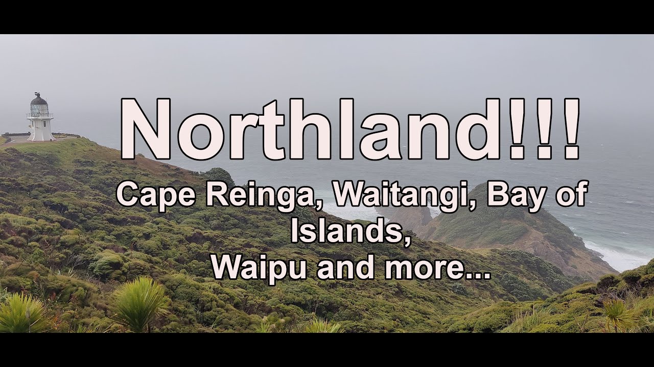 Northland! Tane Mahuta, Cape Reinga, Waitangi, Bay of Islands, Waipu and more!