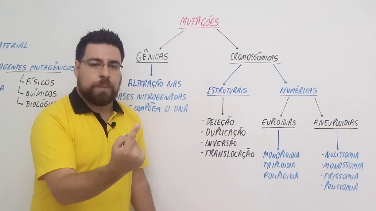 Muta&ccedil;&otilde;es