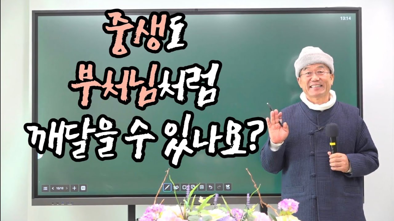 중생도 부처님처럼 깨달을 수 있을까? 삶의 고통을 끝내는 즉각적인 무심 수행법