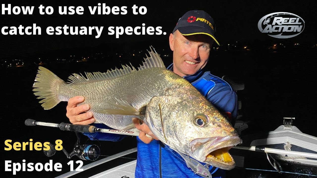 How to use vibes to catch estuary species.