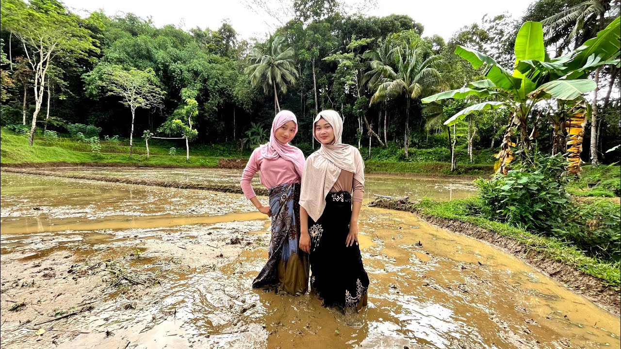Idaman Para Jomblo, Gadis Desa Cantik Ceria Mengisi Hari Libur Sekolah Pergi Ke Sawah