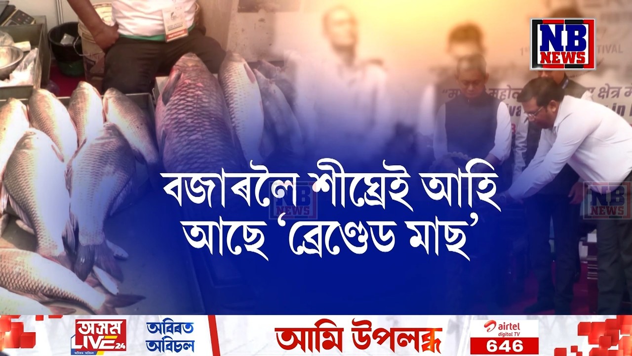 অসমৰ বজাৰলৈ আহি আছে 'ব্ৰেণ্ডেড মাছ'।
