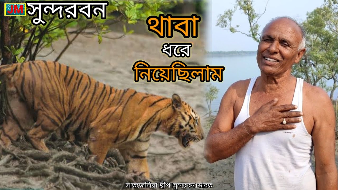 বাঘের থাবা ধরে লড়াই করে জীবন বাঁচিয়েছেন How Does Tiger Attack Man In Sundarban Jungle।Epi 32।