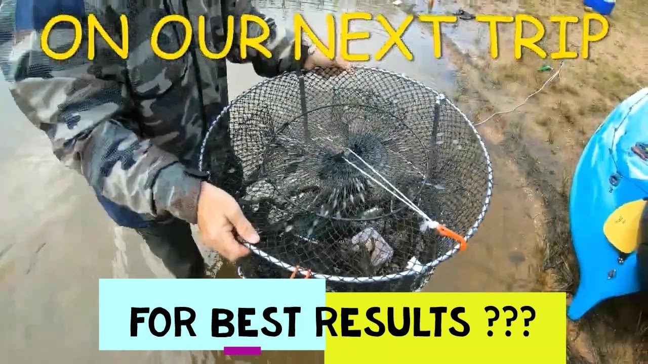 RED CLAW HOW DEEP TO SET POTS CATCHING RED CLAW IN QUEENSLAND YABBIES FISHING AUSTRALIA CRAYFISH