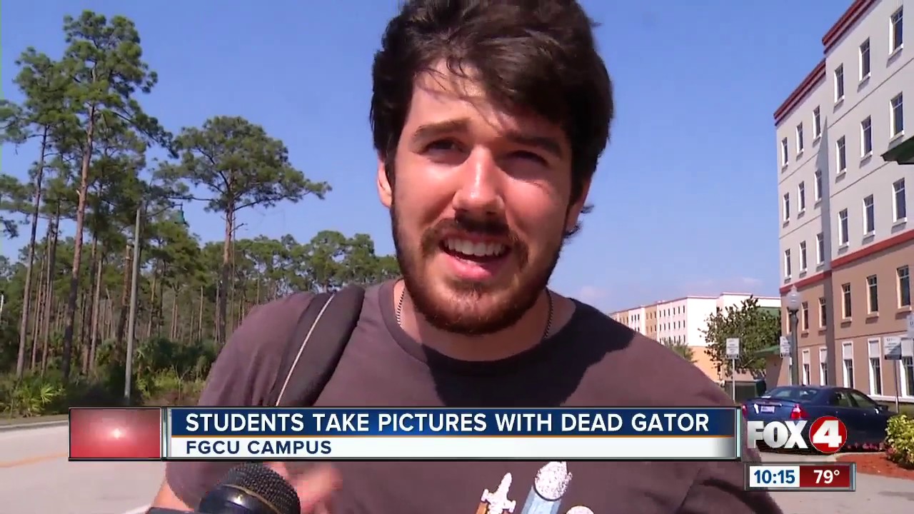 Picture of dead alligator on a dorm room bed at FGCU