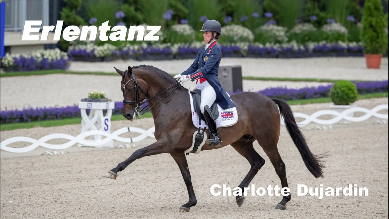 Trakehner Sportstars 2019