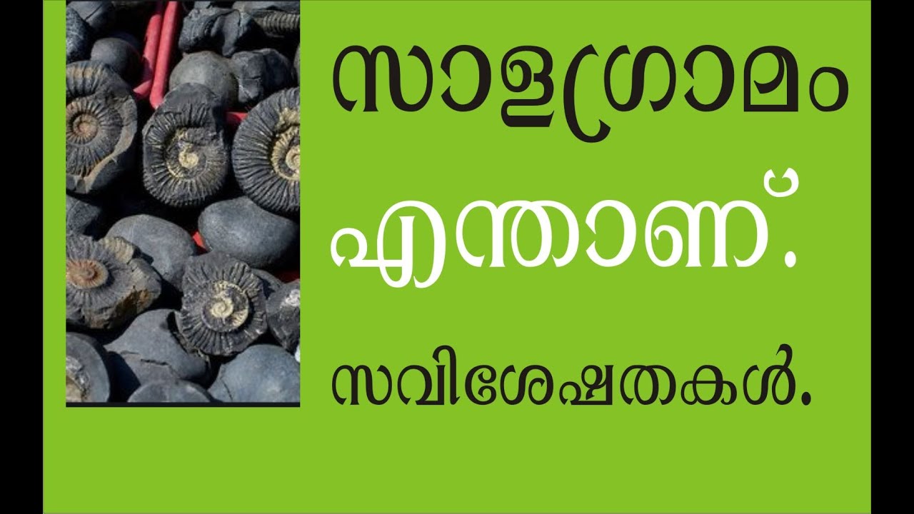 സാളഗ്രാമം എന്താണ്? Salagrama or Shaligram