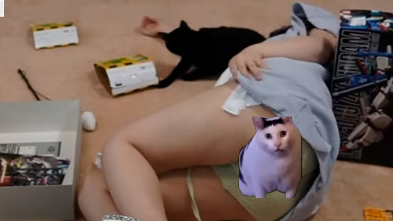 Cat and beautiful woman[kson]