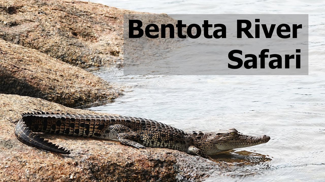 Bentota River Safari, Sri Lanka