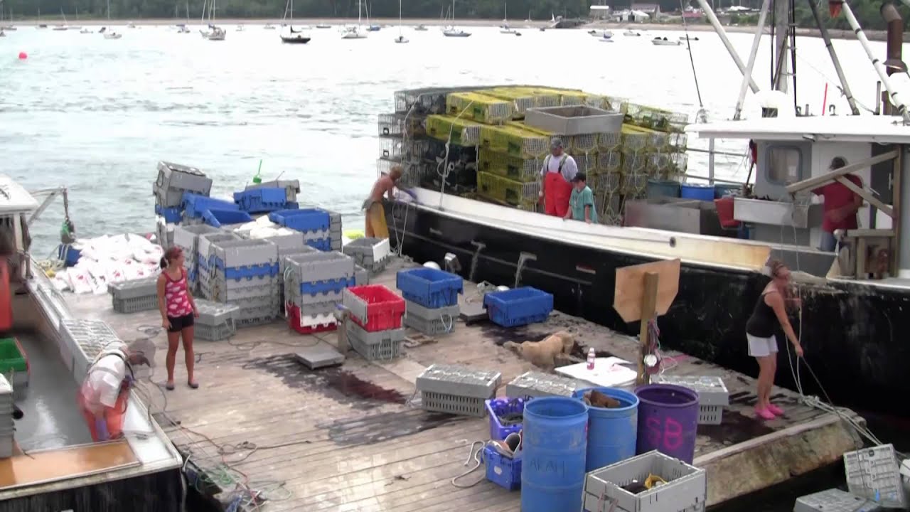Maine Lobster Fishing - Smack Boat, Casco Bay, Maine