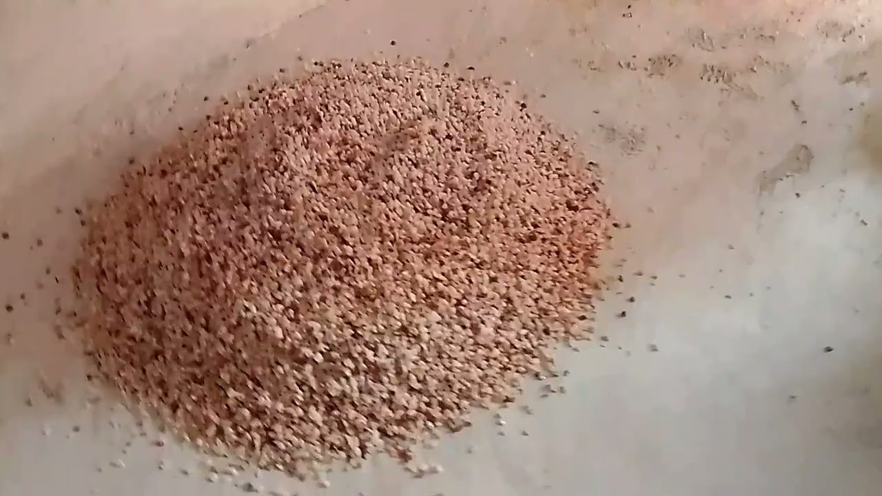 اهم المعلومات عن كيس لاموزيݣ