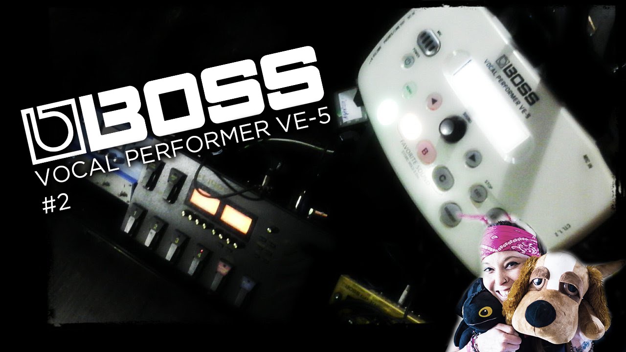 Boss VE-5 Вокальные эффекты №2 ЖИВЕМ В ГАРМОНИИ!