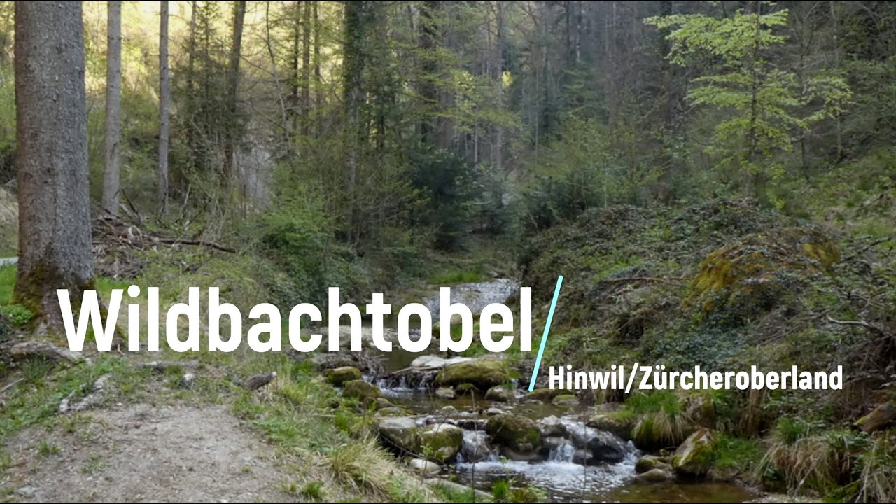 Wildbachtobel / Hinwil