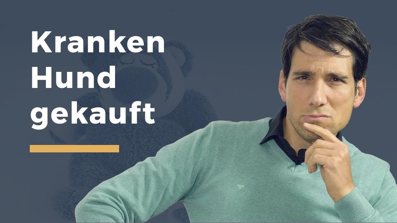 Mir wurde ein kranker Hund verkauft – mein Recht als Hundekäufer