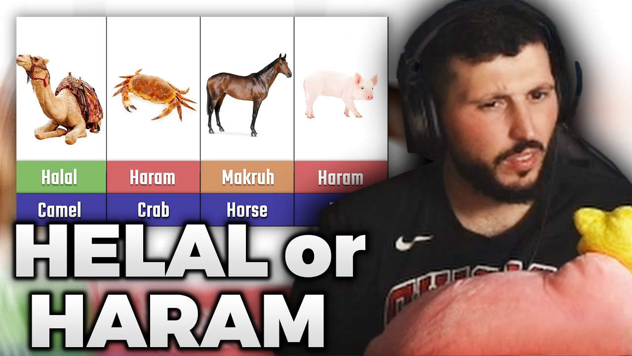 Haikel Reagiert auf welches Tier ist im Islam Helal oder Haram zu essen