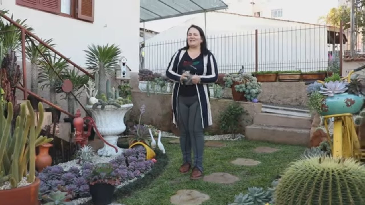 O ASSUNTO AQUI É SUCULENTAS E JARDIM