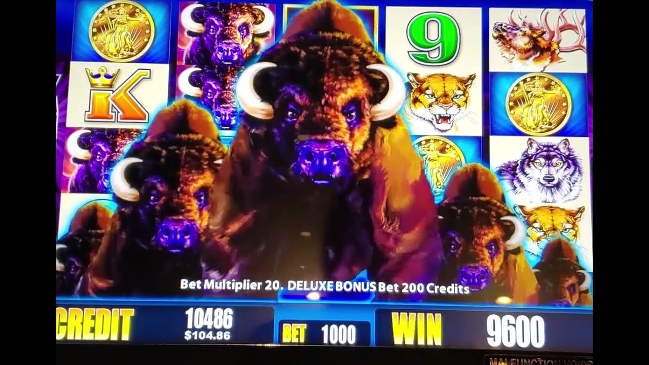 Время бонуса Max Bet Buffalo! Игровые автоматы Buffalo Gold Revolution и Buffalo Deluxe #buffalos...