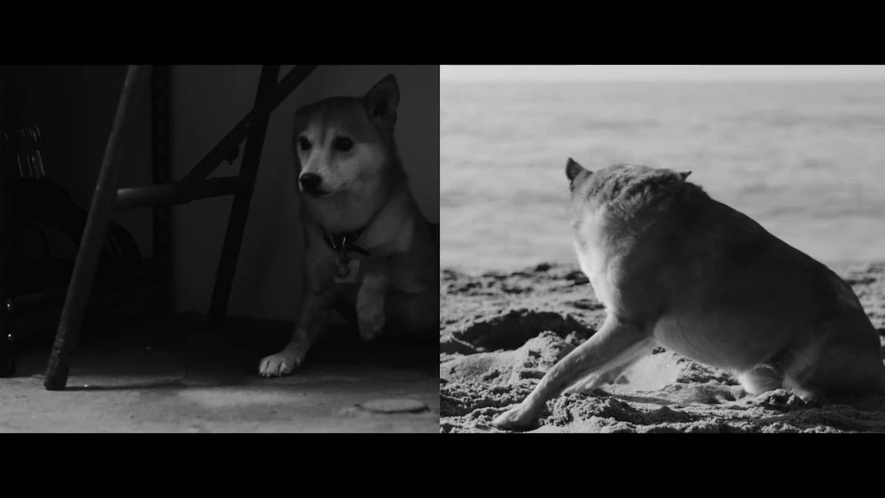 DISTINCTDAILY Presents: Kassia Meador (Film)