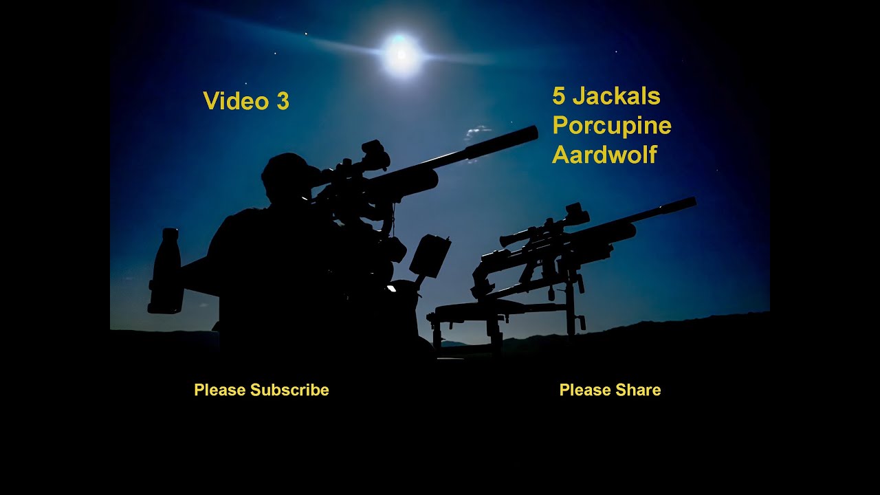 Airgun hunting jackal with FX Maverick Sniper .22 with PARD Night Stalker 4K telescope, South Africa