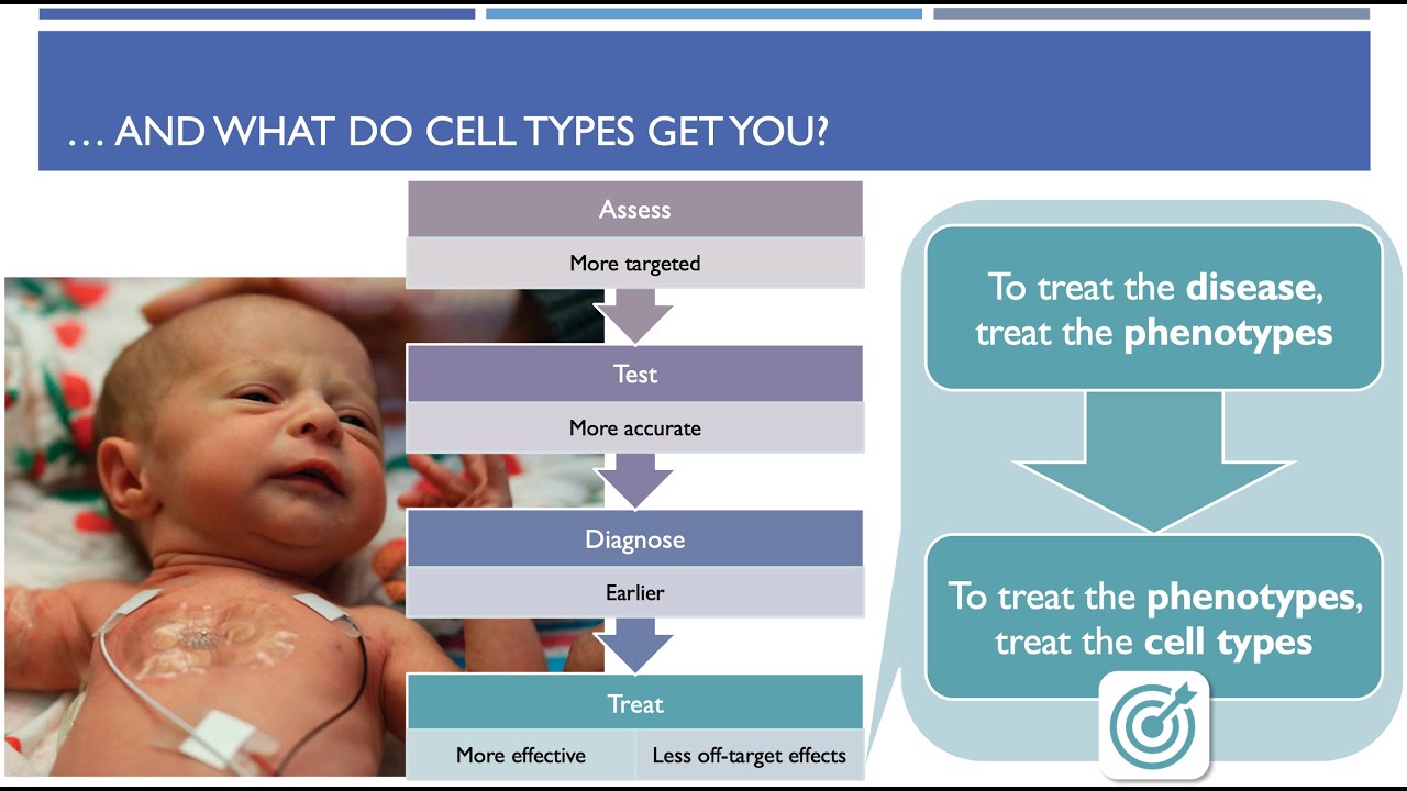 Navigating the rare diseases landscape