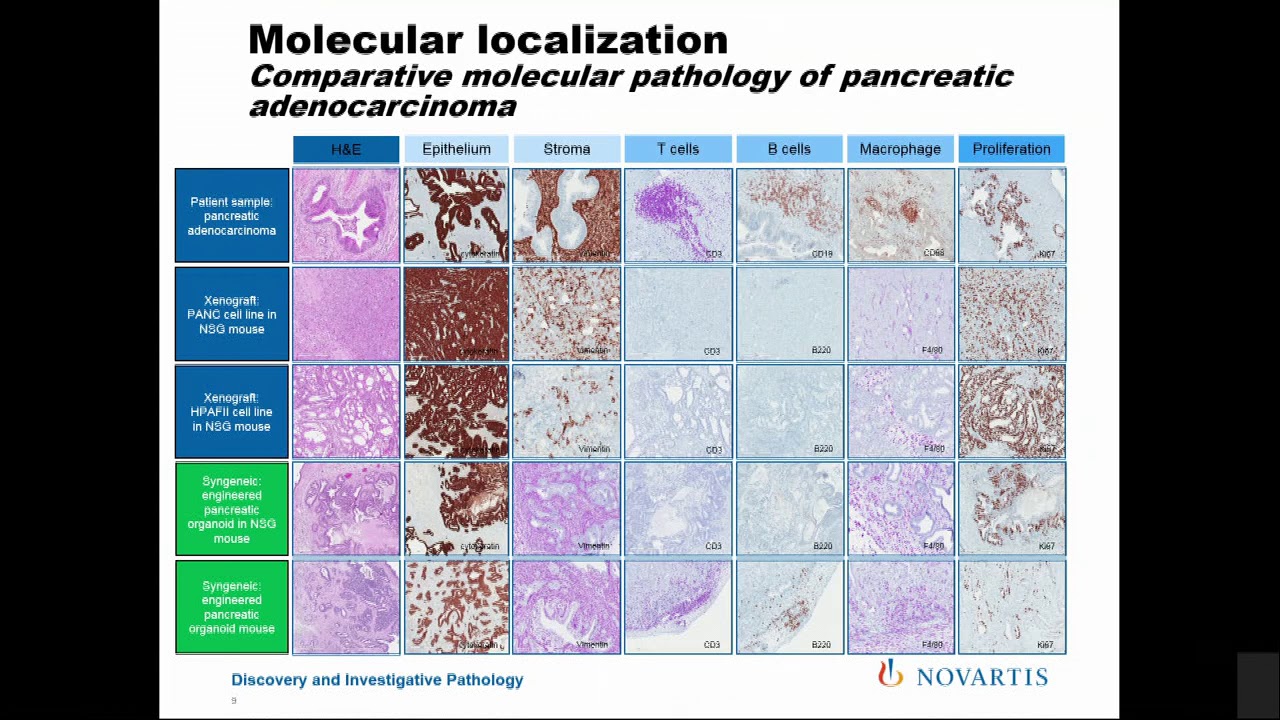 Keith Mansfield: Exploring genetic variability using precision pathology in animals