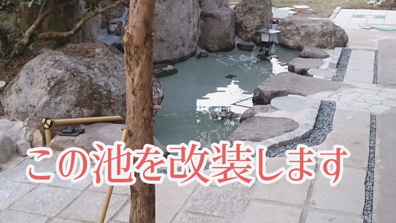 昔の池ビフォーアフター動画です　錦鯉　自宅池　改装作業　左官　庭池　濾過槽　Koi Farm new Koi House　nishikigoi　日本庭園　造園　和風　アクアリウム　飼育　ปลาคราฟ