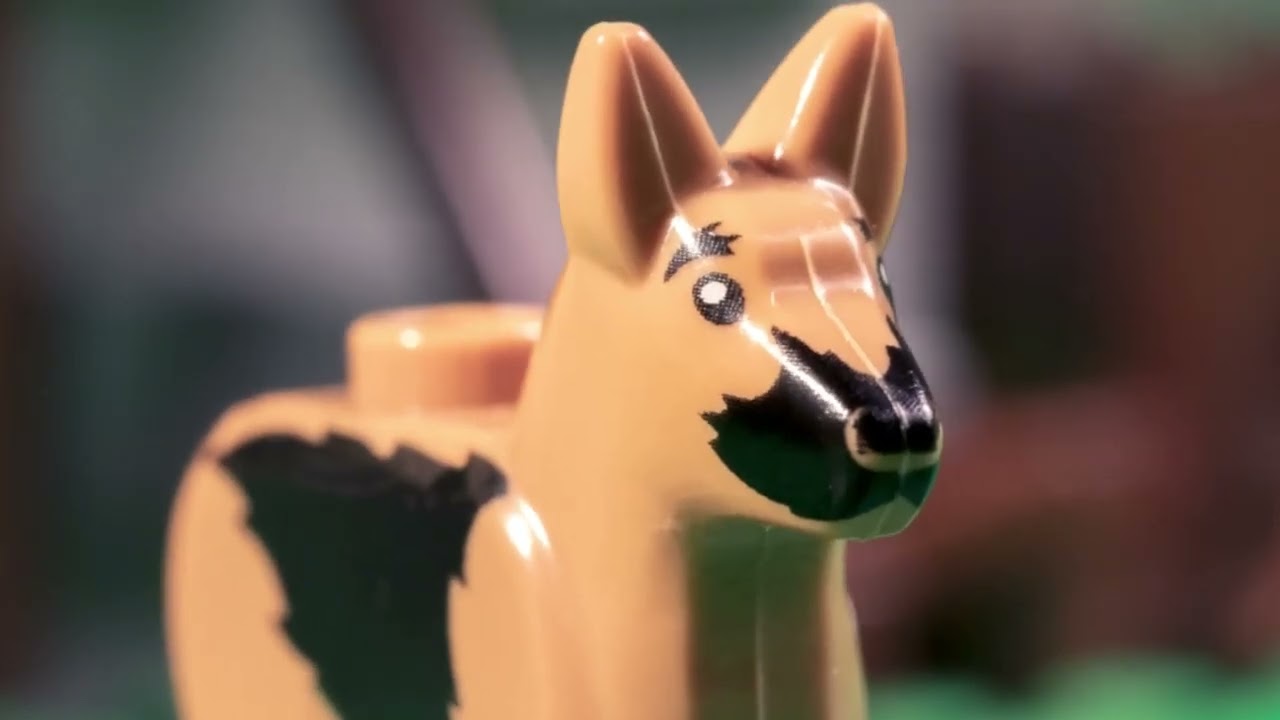 Velociraptor at a farm | LEGO® Jurassic World™