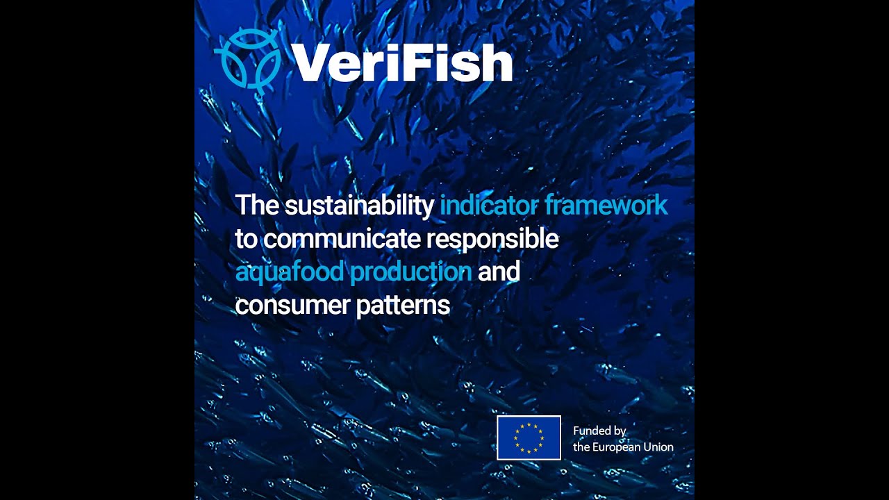 Simplifying Seafood Sustainability with VeriFish