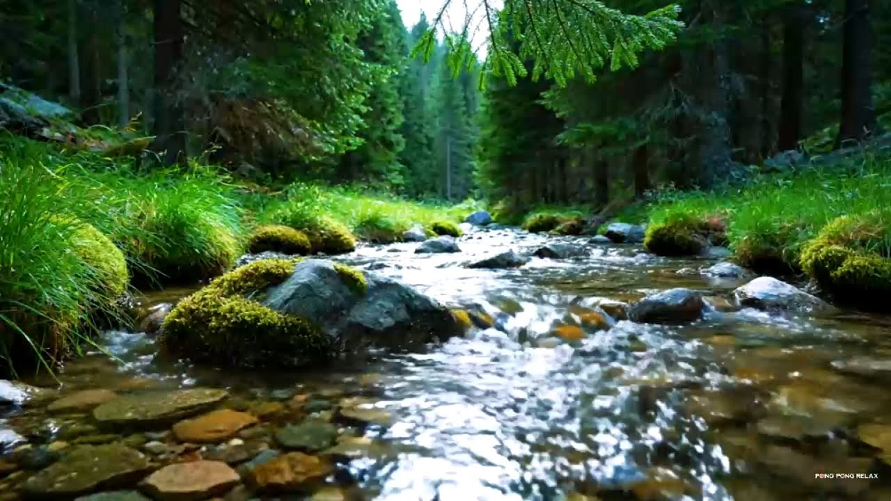 Relieve Stress to Deep Sleep with Calming Water Stream Sounds, Soothing River Passing Quiet Boulders