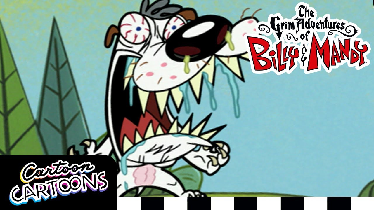 Mandy's Dog | Grim Adventures Of Billy And Mandy | Cartoons Cartoons