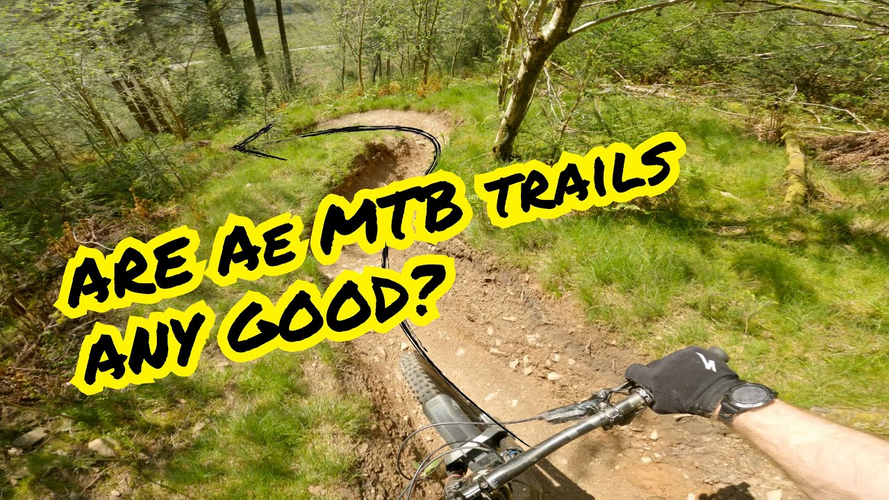 Ae Forest has some of the best MTB trails