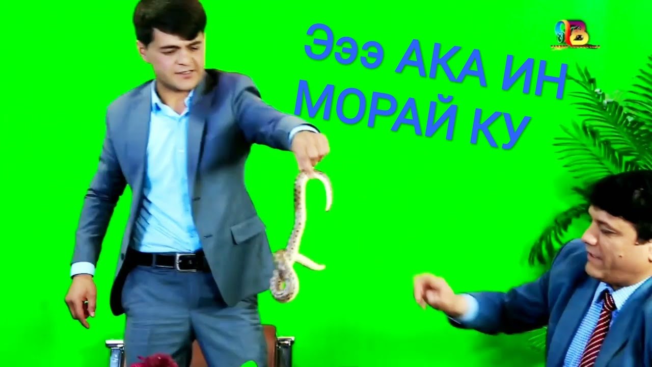 МАЙДОНИ ҲУНАР. БАХТИËРИ ДИЛОВАР(сароянда)