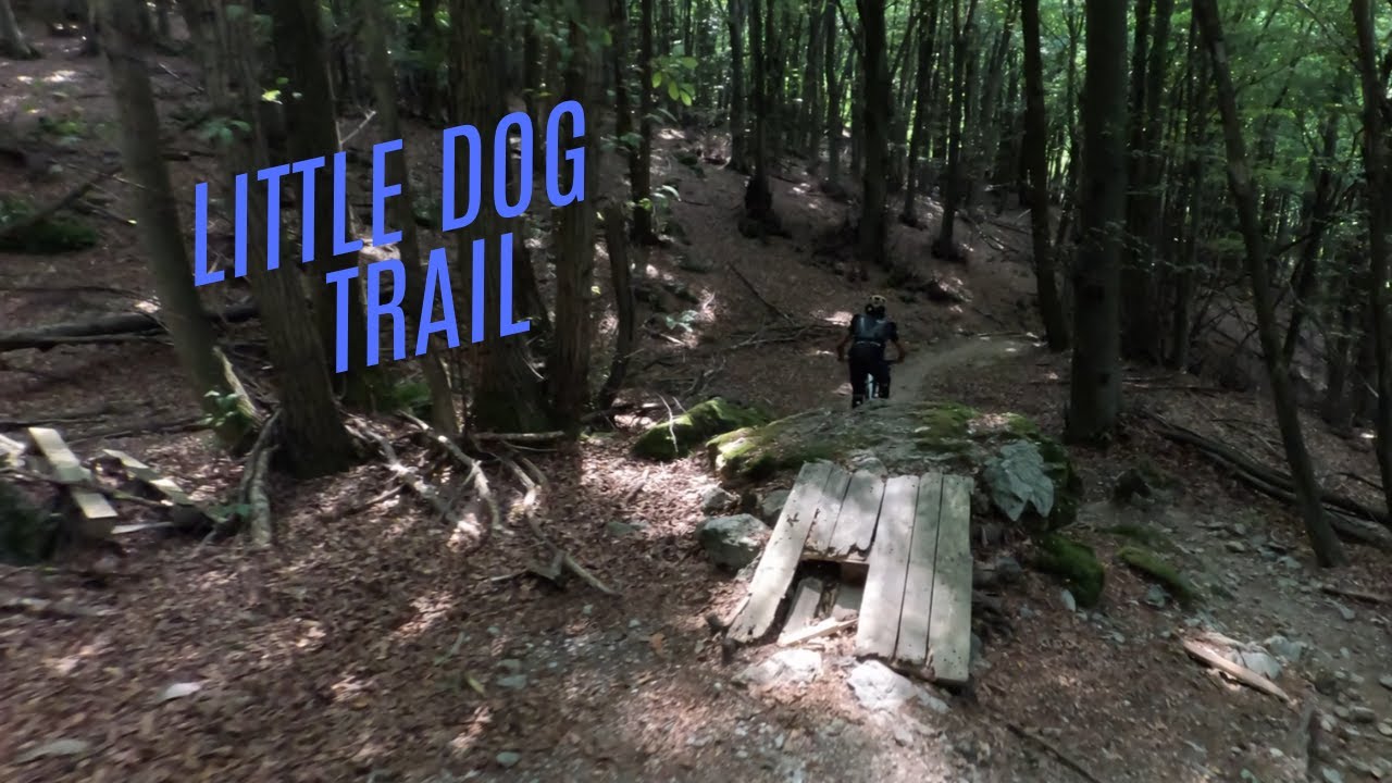 Little Dog Trail in Finale Ligure