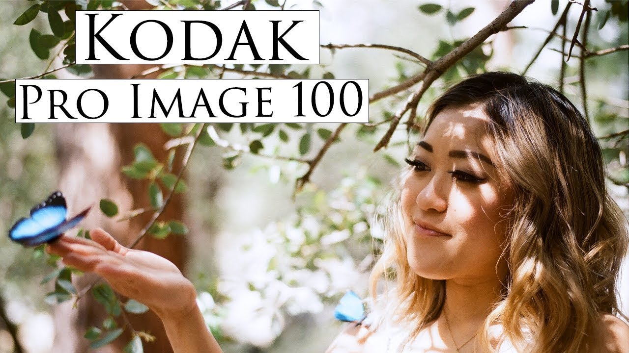 Forest Portrait Shoot | Nikon F100 + Kodak Pro Image 100