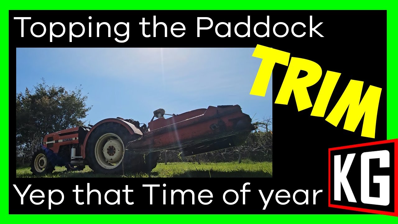 Topping the paddock with tractor mower