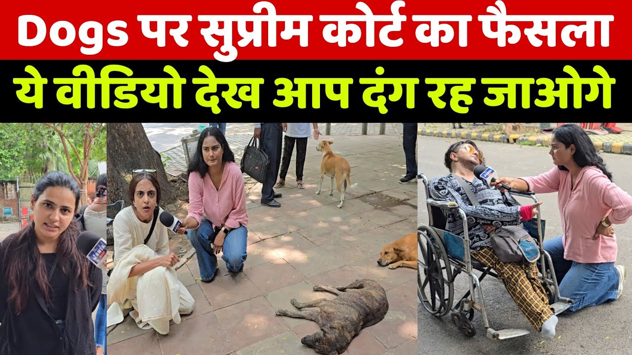 सुप्रीम कोर्ट का फैसला आते ही Dog lover क्या बोले? ये नजारा देख Dog protest वाले भी दंग रह जाएंगे!