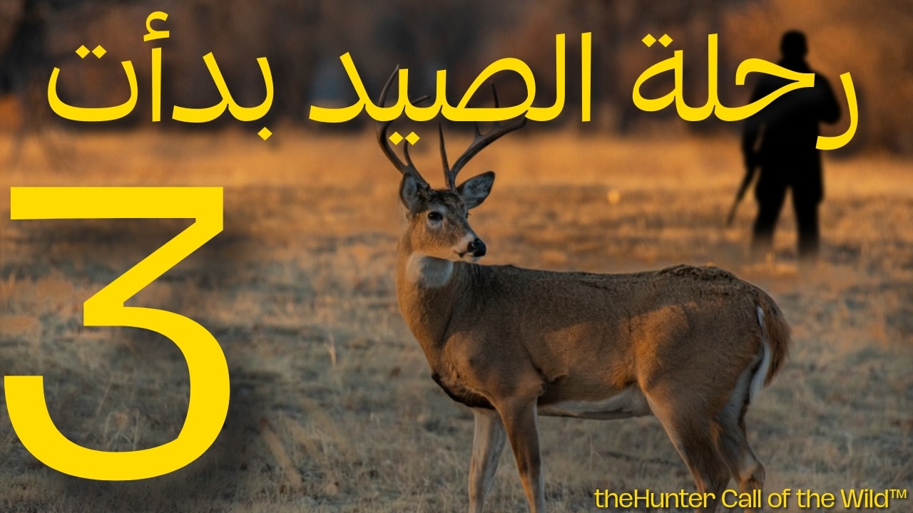 TheHunter: Call of the Wild | الجزء الثالث  ؟ ـ أول رحلة صيد في الغابة  🦌🎯