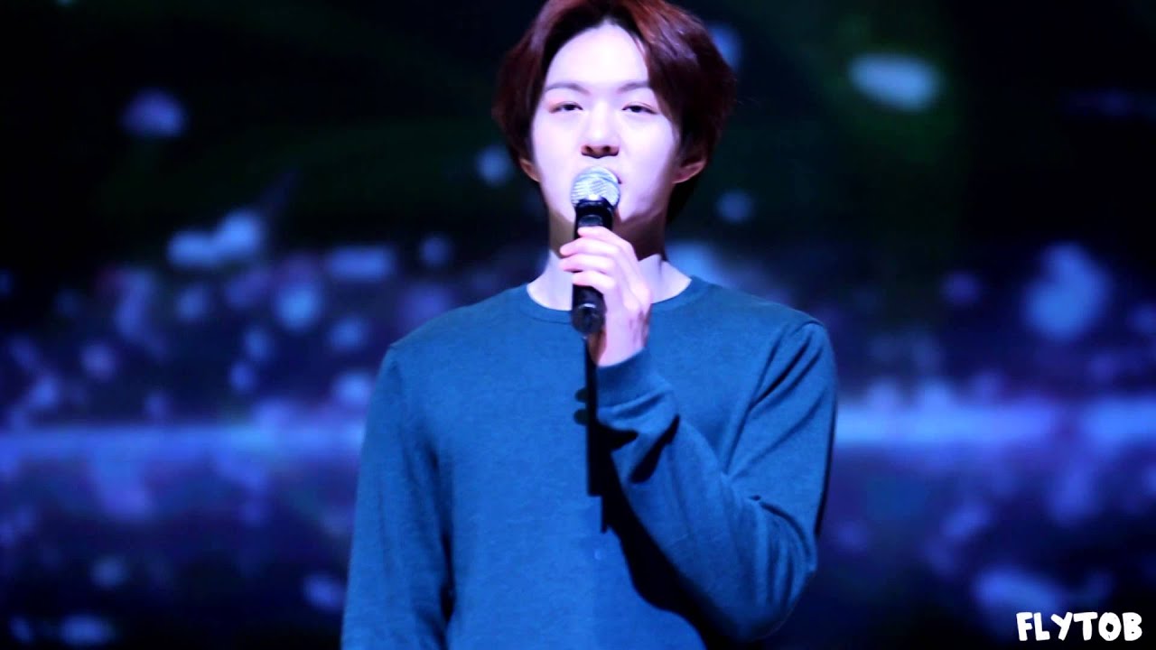 150411 비투비 창섭&현식 - 사랑이라는 이유로 / 김광석포에버 콘서트 직캠