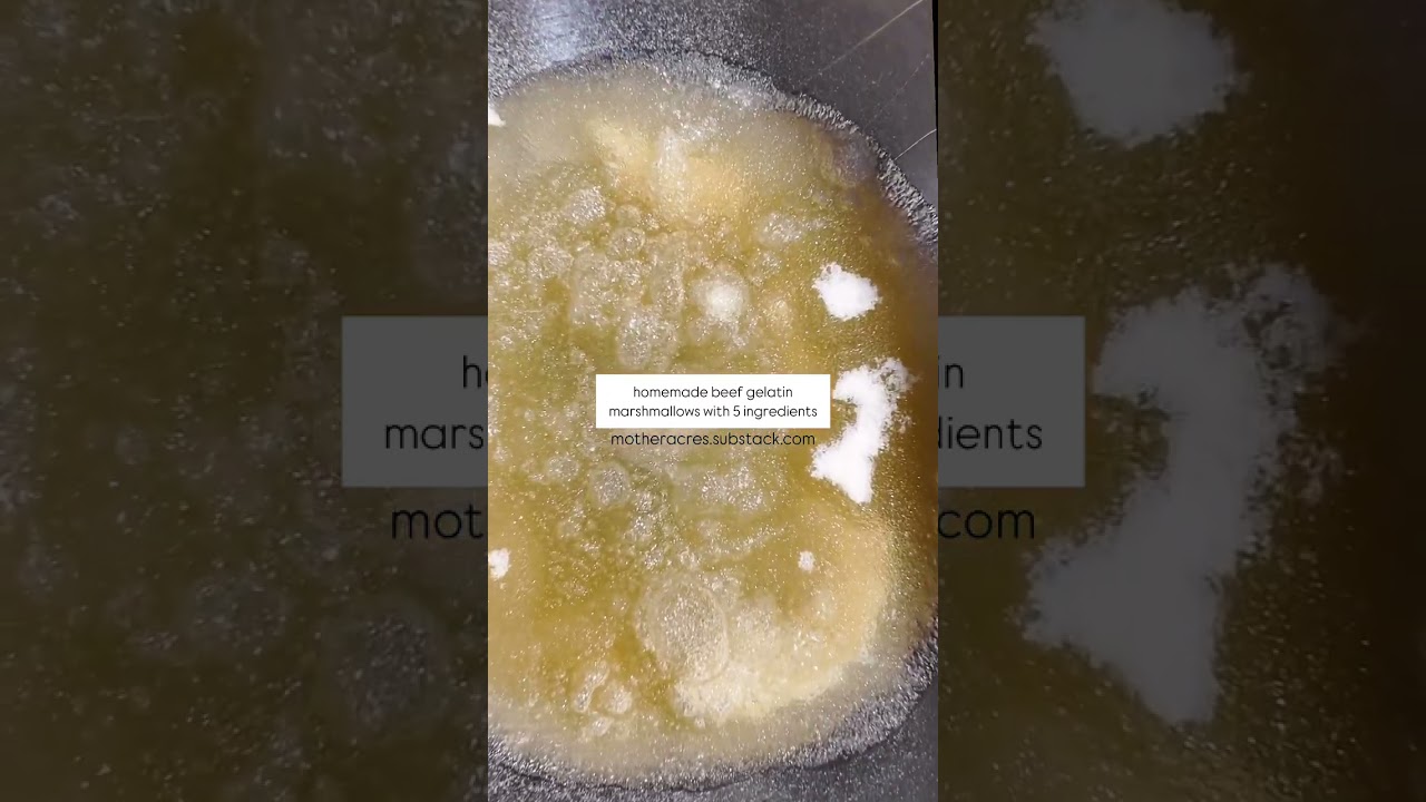 Homemade Beef Gelatin Marshmallows