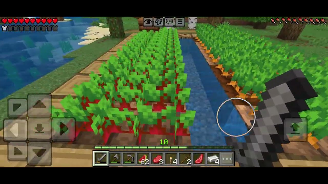Minecraft tarla yağmaladım #oyunumadokunma 