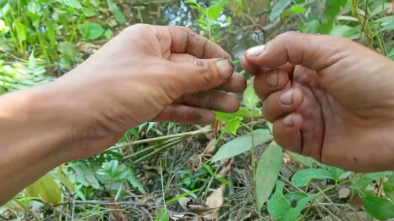 Setelah beberapa jam perjalanan mencari spot mancing ikan ahirnya jumpa jugak#mamcingliar 