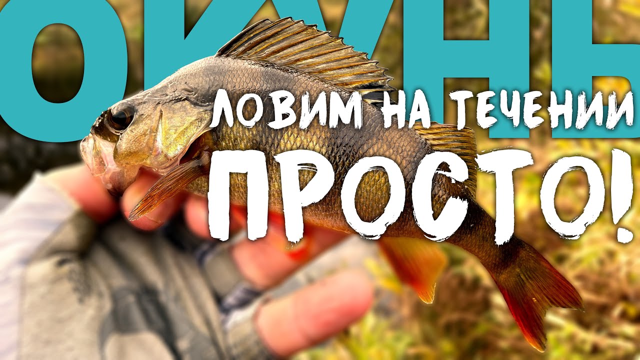 👌НЕХИТРЫЕ Советы, НАХОЖУ ОКУНЯ на ПЕРЕКАТАХ. Алгоритм поиска🤫#микроджиг