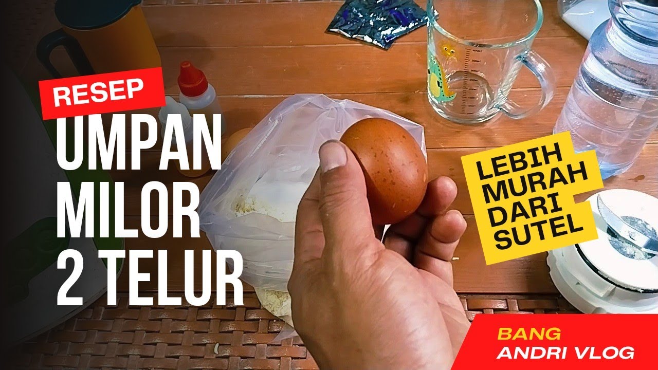 Resep Umpan Milor Bang Andri VlogCuma 2 Telur Lebih Murah dari Sutel Galapung Ikan Mas