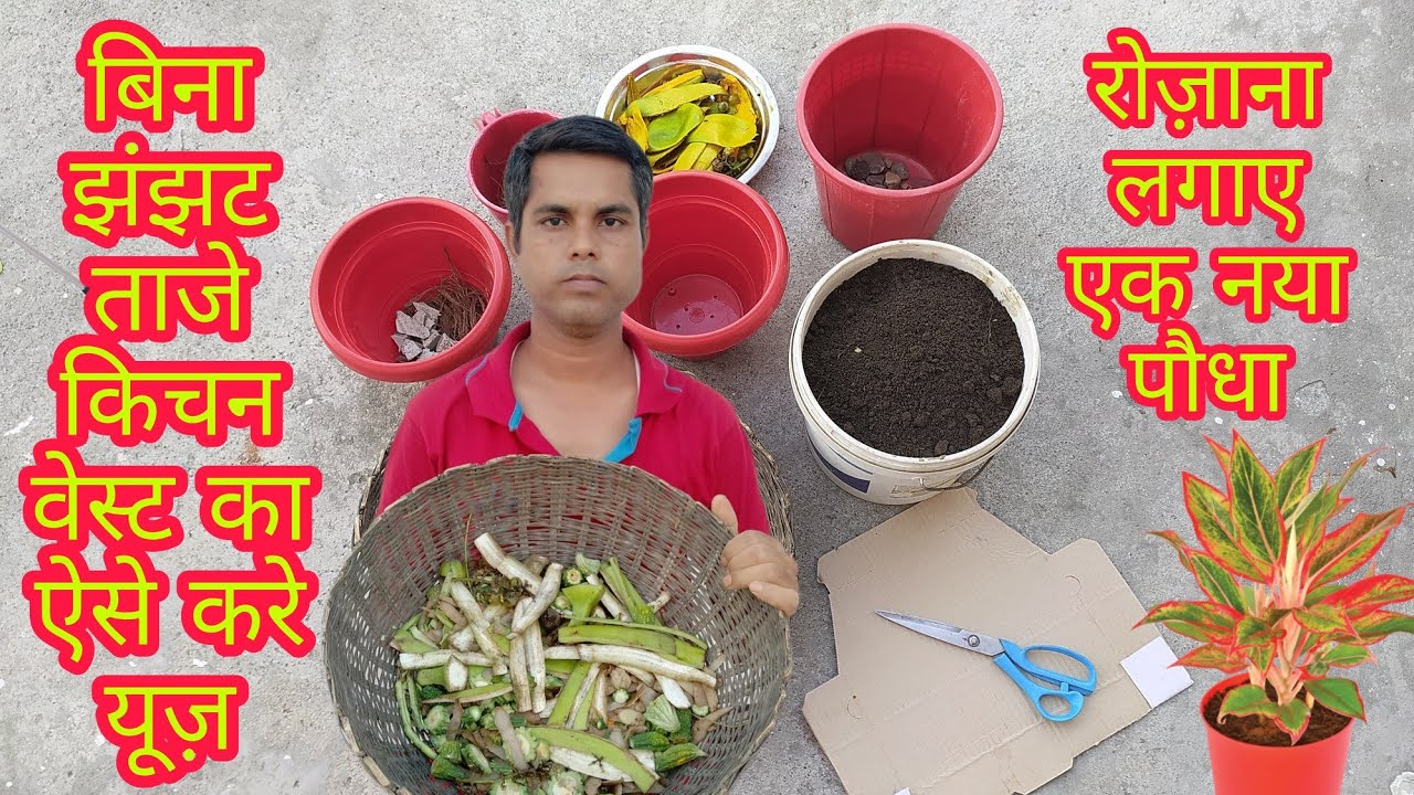 How to use  fresh kitchen waste  for Gardening