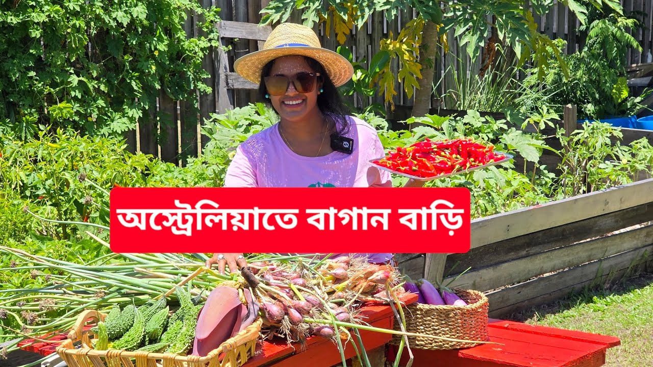 অস্ট্রেলিয়াতে আমার বাগান বাড়িতে দেশীয় সবজির ফলন | Homegrown in Australia #australia #vegetables 
