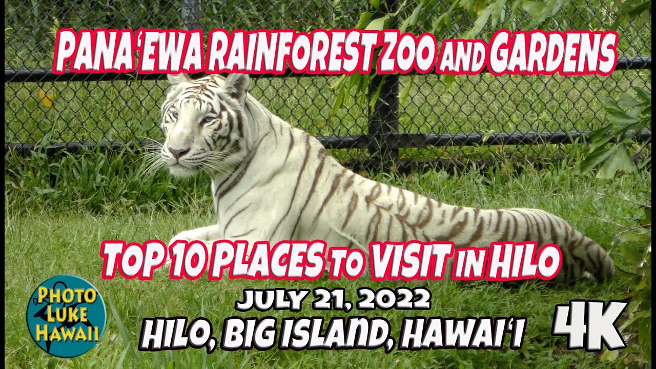 Panaewa Rainforest Zoo and Gardens July 21, 2022 Top 10 Places to Visit in Hilo Hawaii