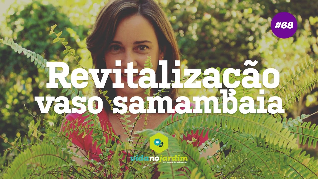 Revitalização de um vaso de samambaia #68 - Dicas rápidas
