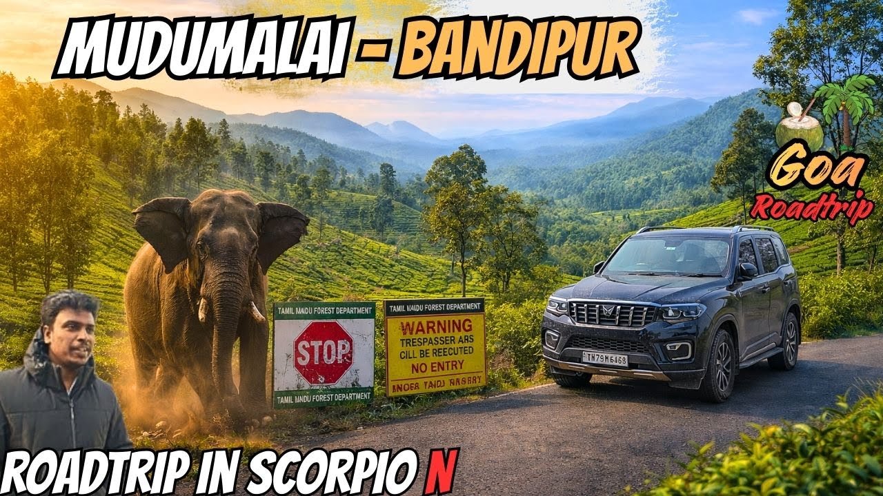 🦣முதுமலை & பந்திப்பூர்  National Park | Elephant Attack | Ooty | Goa Roadtrip Tamil Car Travel VLogs