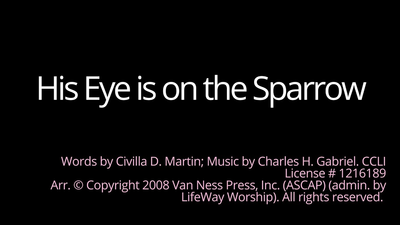 His Eye is on the Sparrow - Lyric Video
