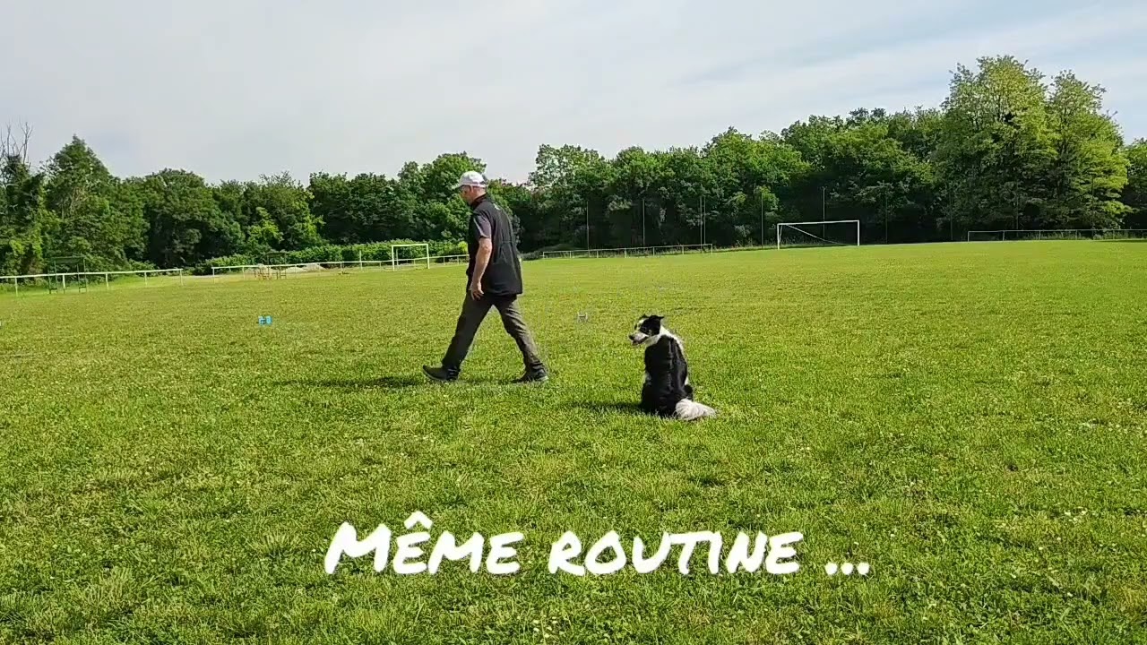 Entraînement 05/2025